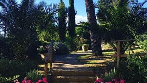 Un sendero conduce a la entrada de un edificio rodeado de exuberante vegetación y plantas en macetas.