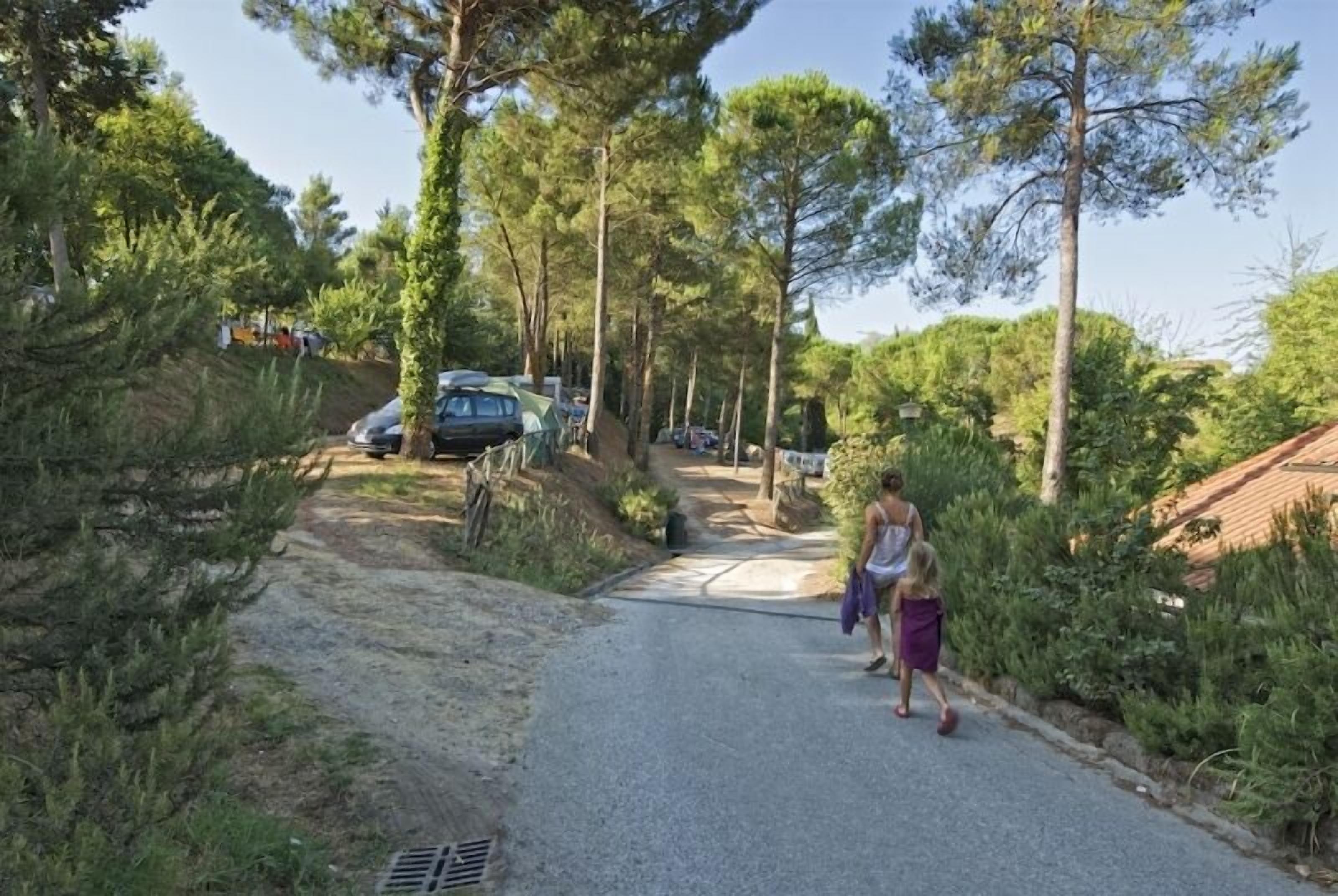 En smal vej omgivet af træer og parkerede biler, der fører til et boligområde.
