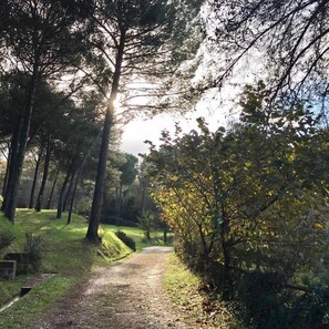 Giardino