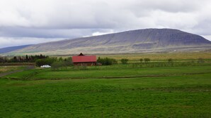 Uklassifisert bilde, 3 av 36, knapp