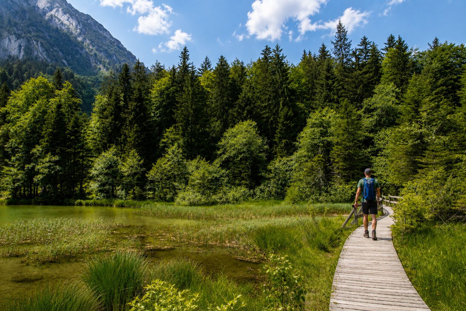 Una persona caminando sobre una pasarela de madera junto a un lago, con un bosque denso y montañas al fondo.