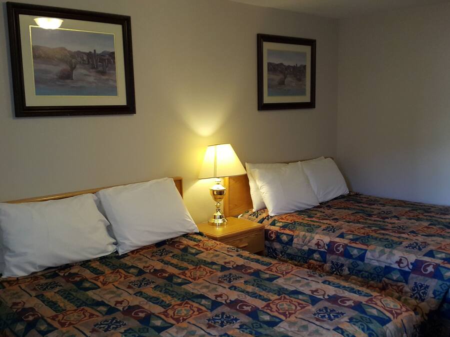 Une chambre avec deux lits, chacun recouvert d’une couvre-lit à motifs, une table de chevet avec une lampe, et deux tableaux encadrés accrochés au mur.