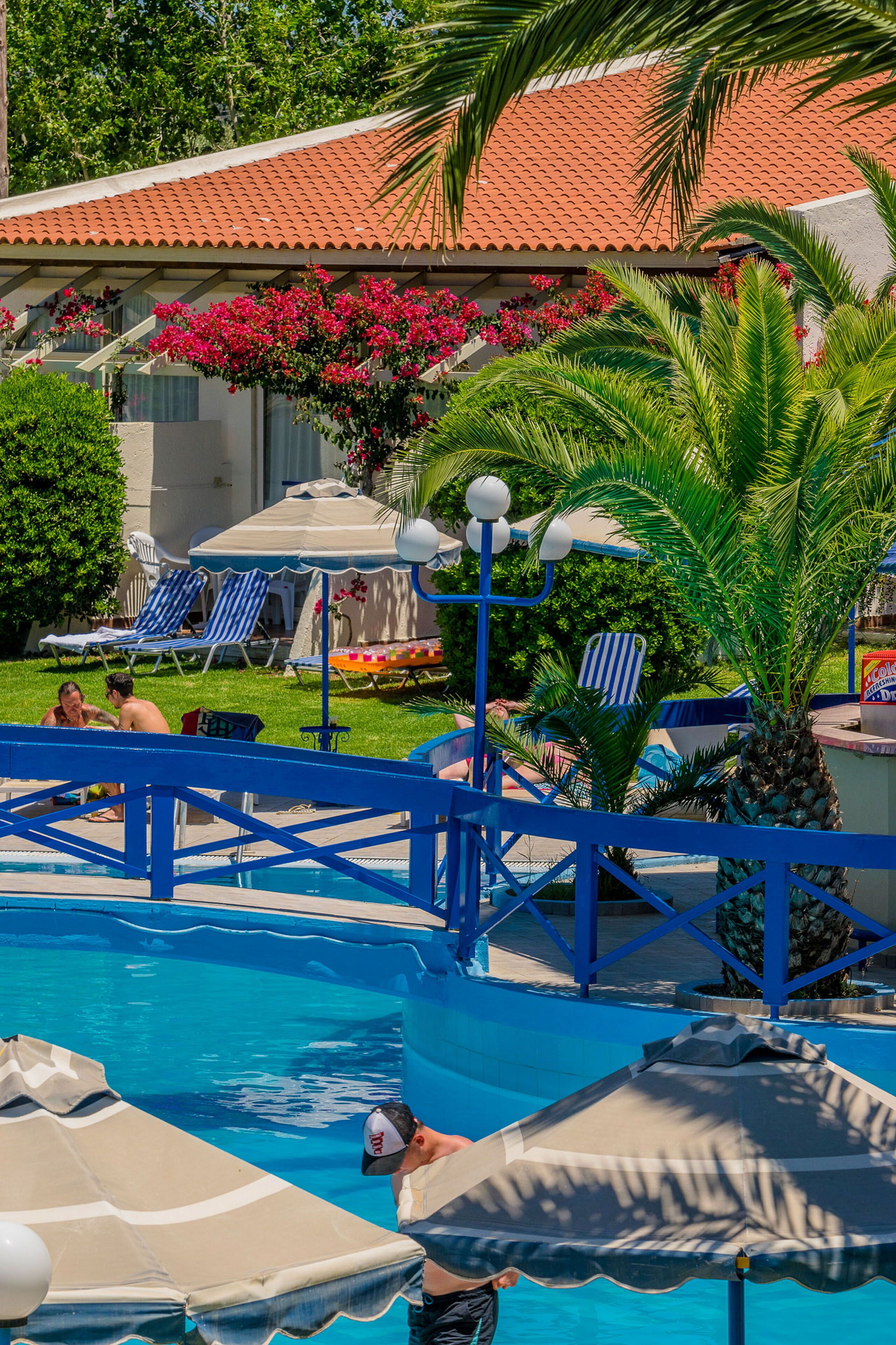 Un área de piscina con sillones de descanso, sombrillas y una palmera.