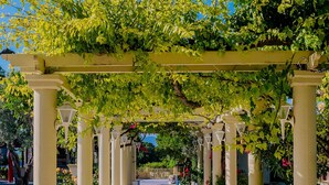 Une allée couverte, agrémentée de colonnes et de verdure, qui mène à un espace piscine.