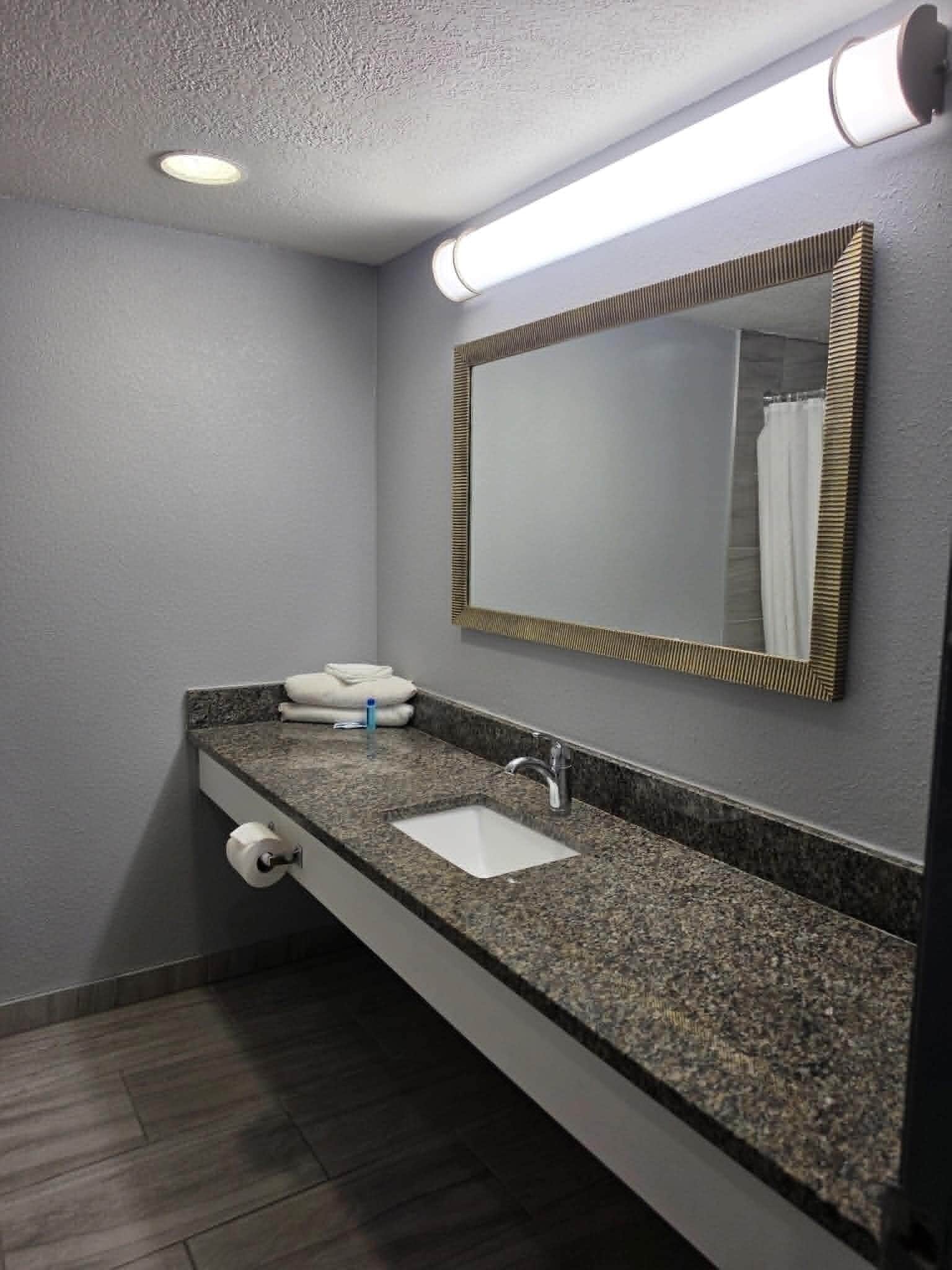 A bathroom with a granite countertop, a white sink, a mirror with a gold frame, a towel rack, and a toilet paper holder.