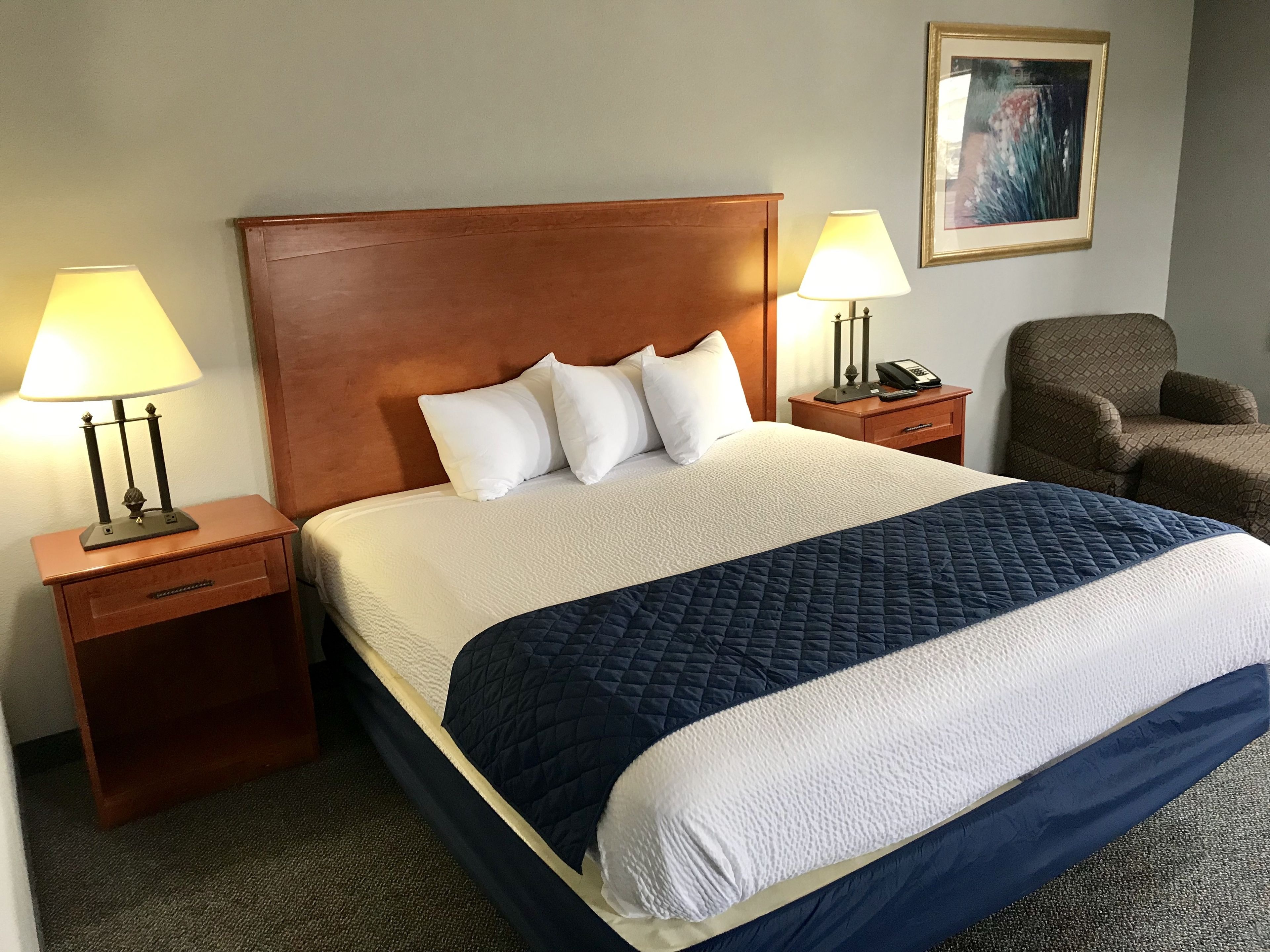 經濟開放式套房, 1 張特大雙人床 | 書桌、免費 Wi-Fi、床單