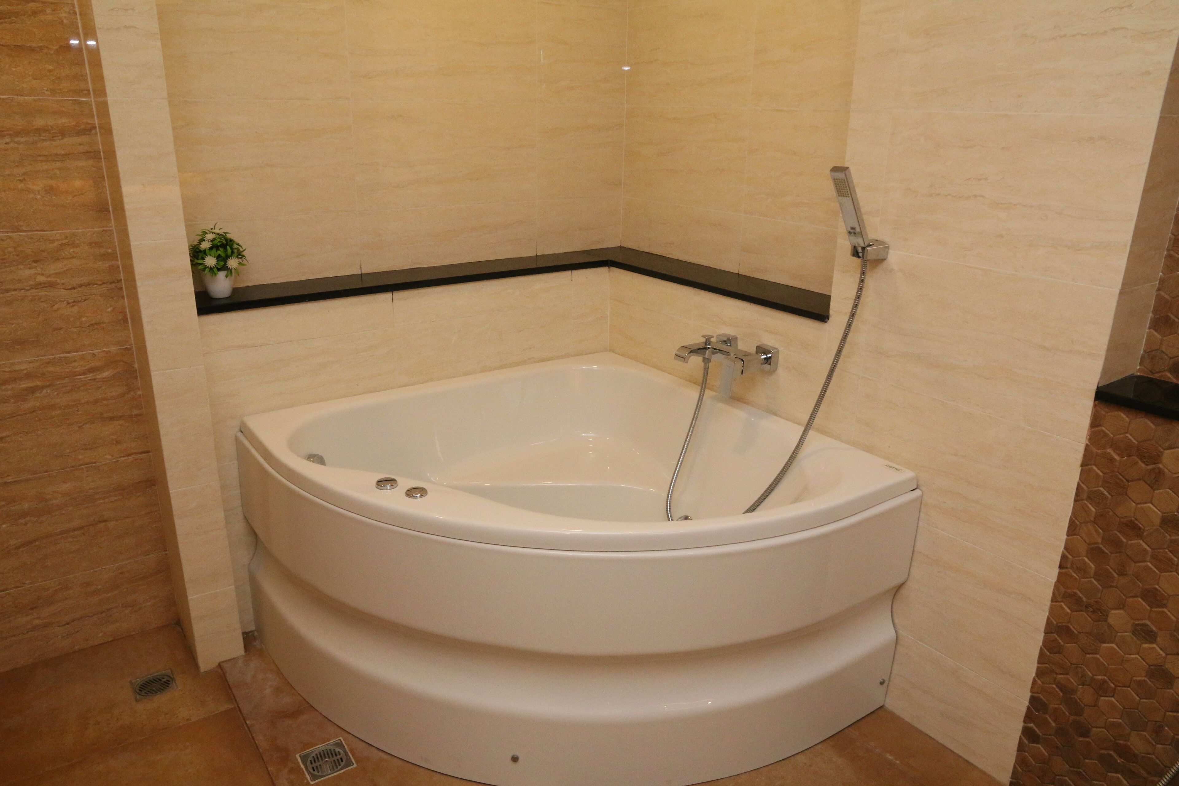A corner bathroom with a freestanding bathtub, a showerhead, and a small potted plant on the wall.