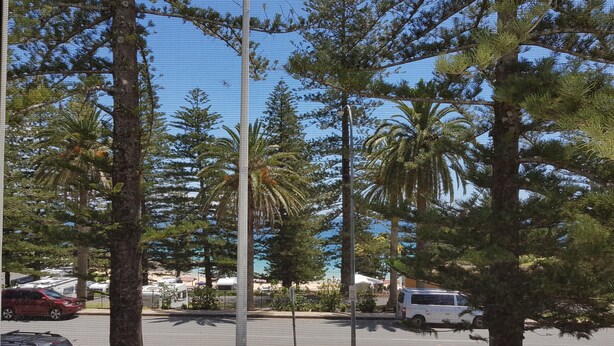 A parking area with trees, a road, and parked vehicles. - Seabreeze Beach Hotel (South West Rocks)