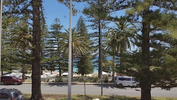 Vista desde la habitación