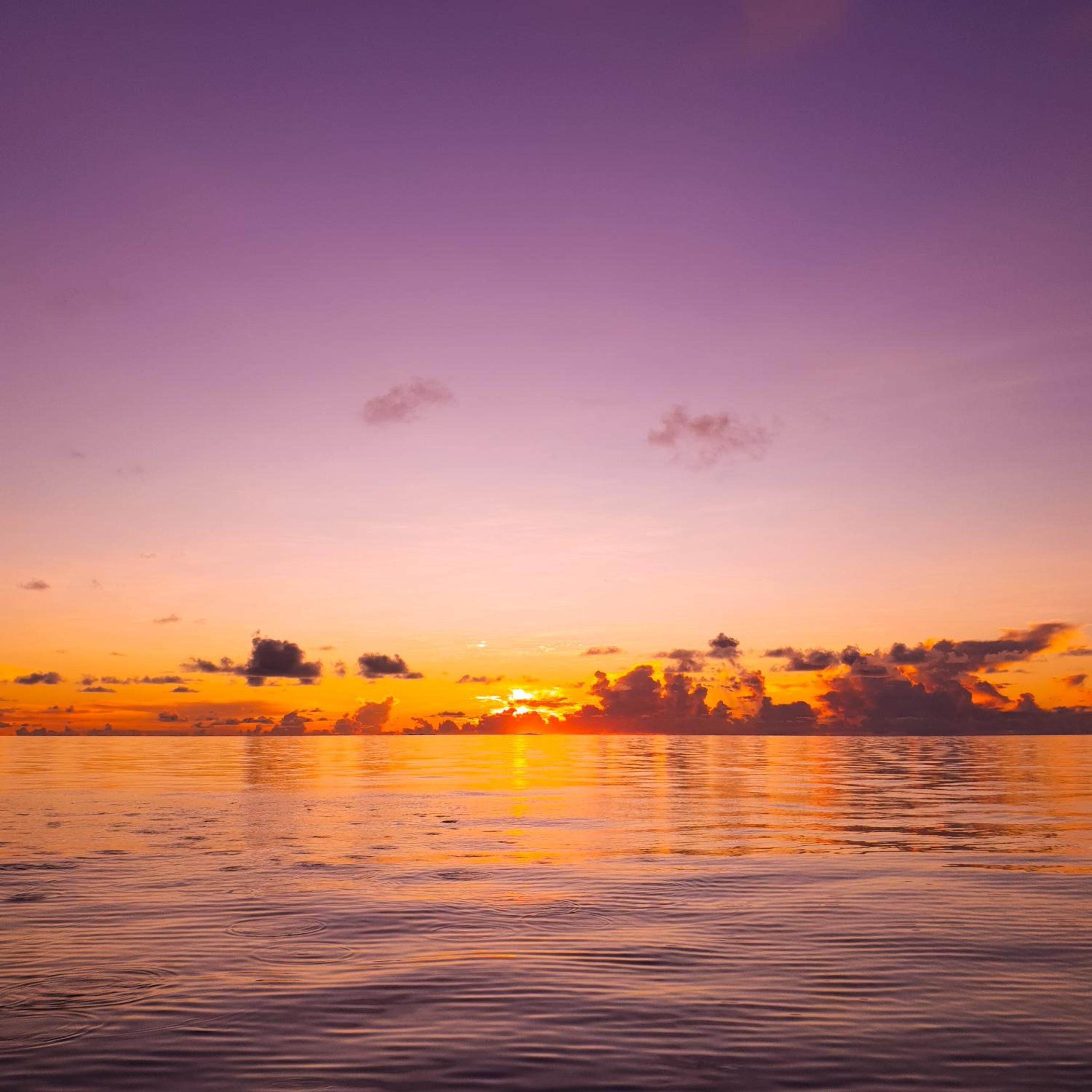 Foto - Thundi Sea View