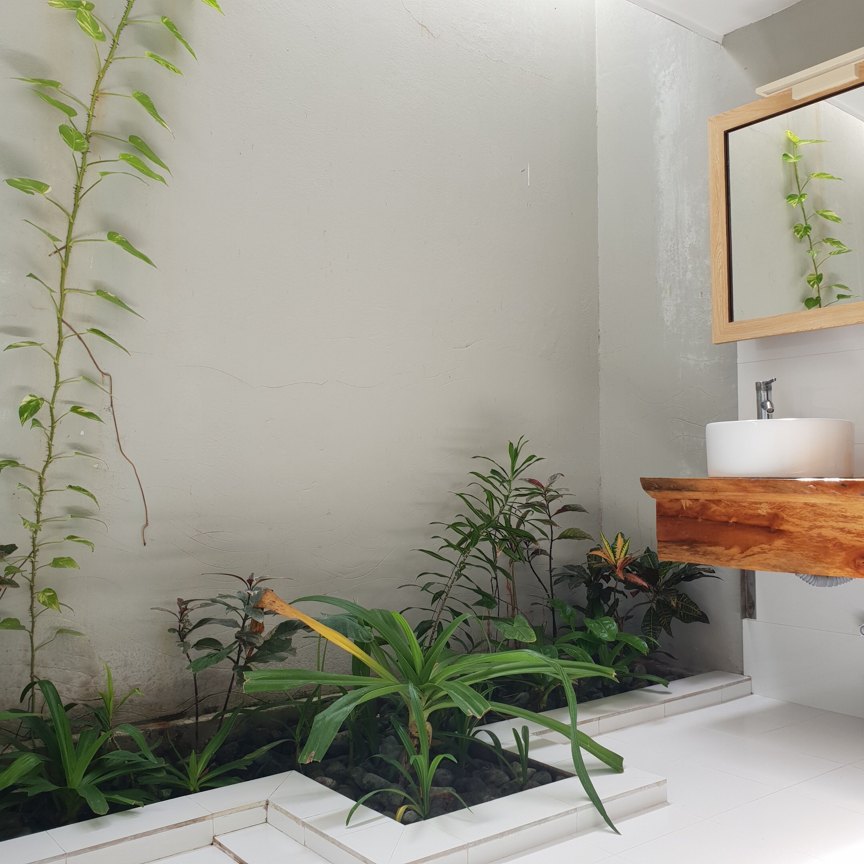 Photo - Thundi Sea View