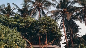Un resort frente a la playa con una edificación circular rodeada de palmeras y vegetación tropical.