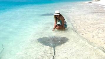 A woman crouching near clear turquoise water on a sandy beach with a boat in the distance.