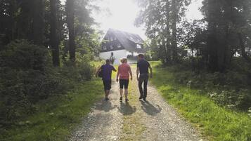 Ein Kiesweg führt zu einem von Bäumen umgebenen Haus.