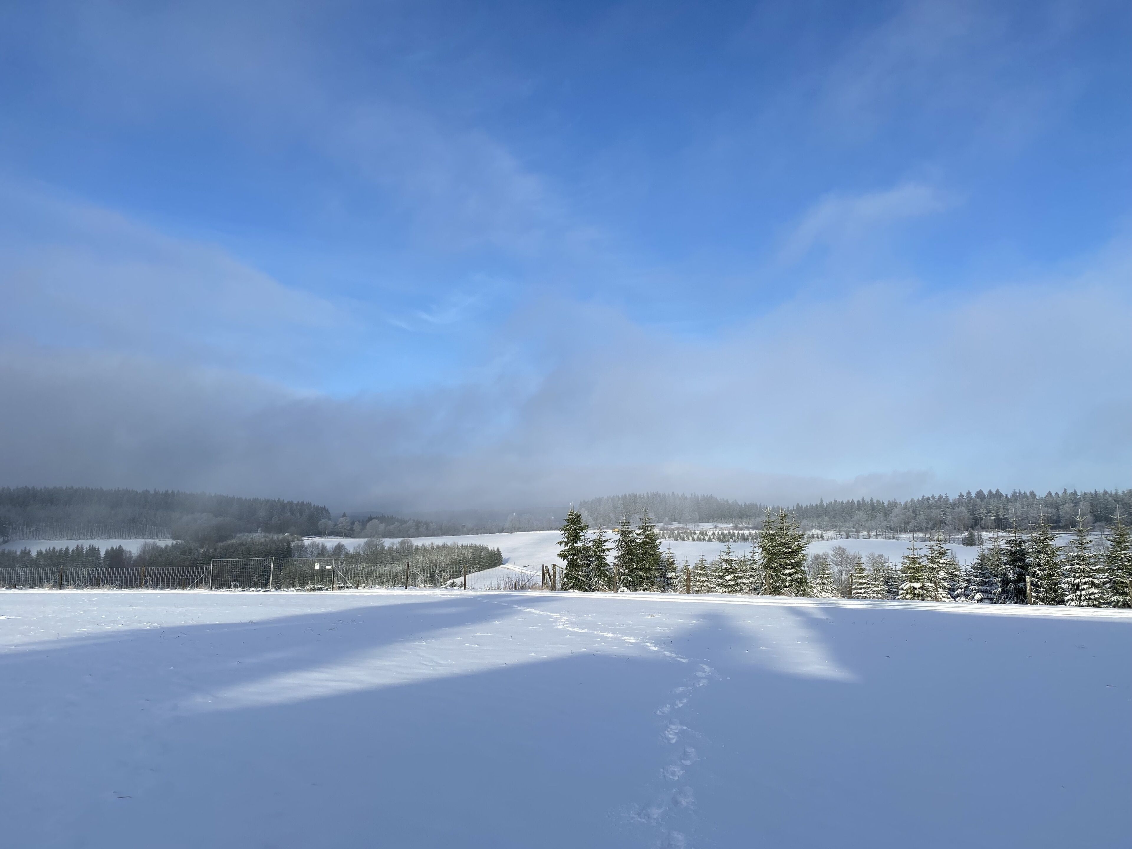 Een besneeuwd landschap met een heldere lucht, een pad dat door de sneeuw voert, en een bos op de achtergrond.