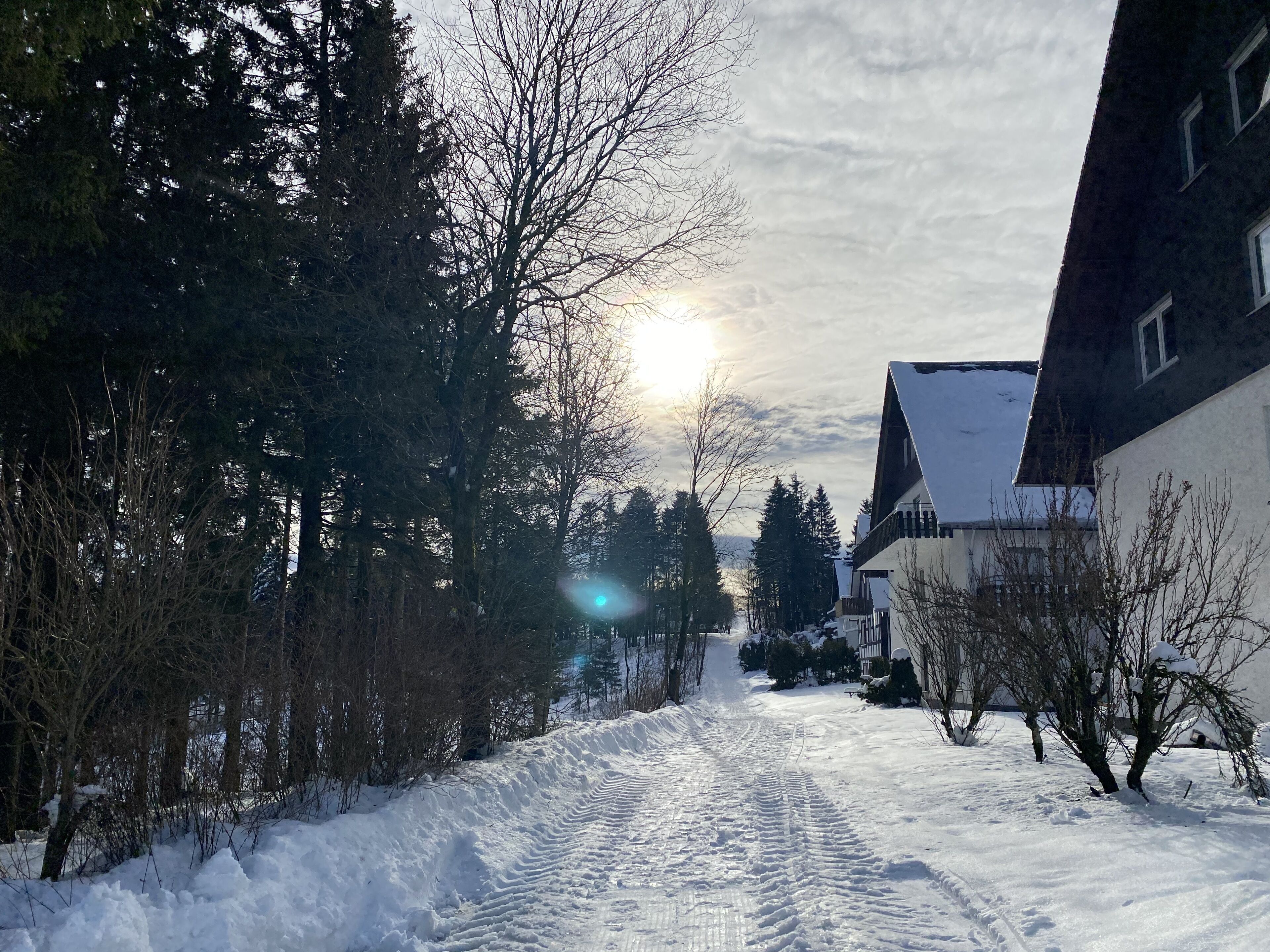 Eksteriør