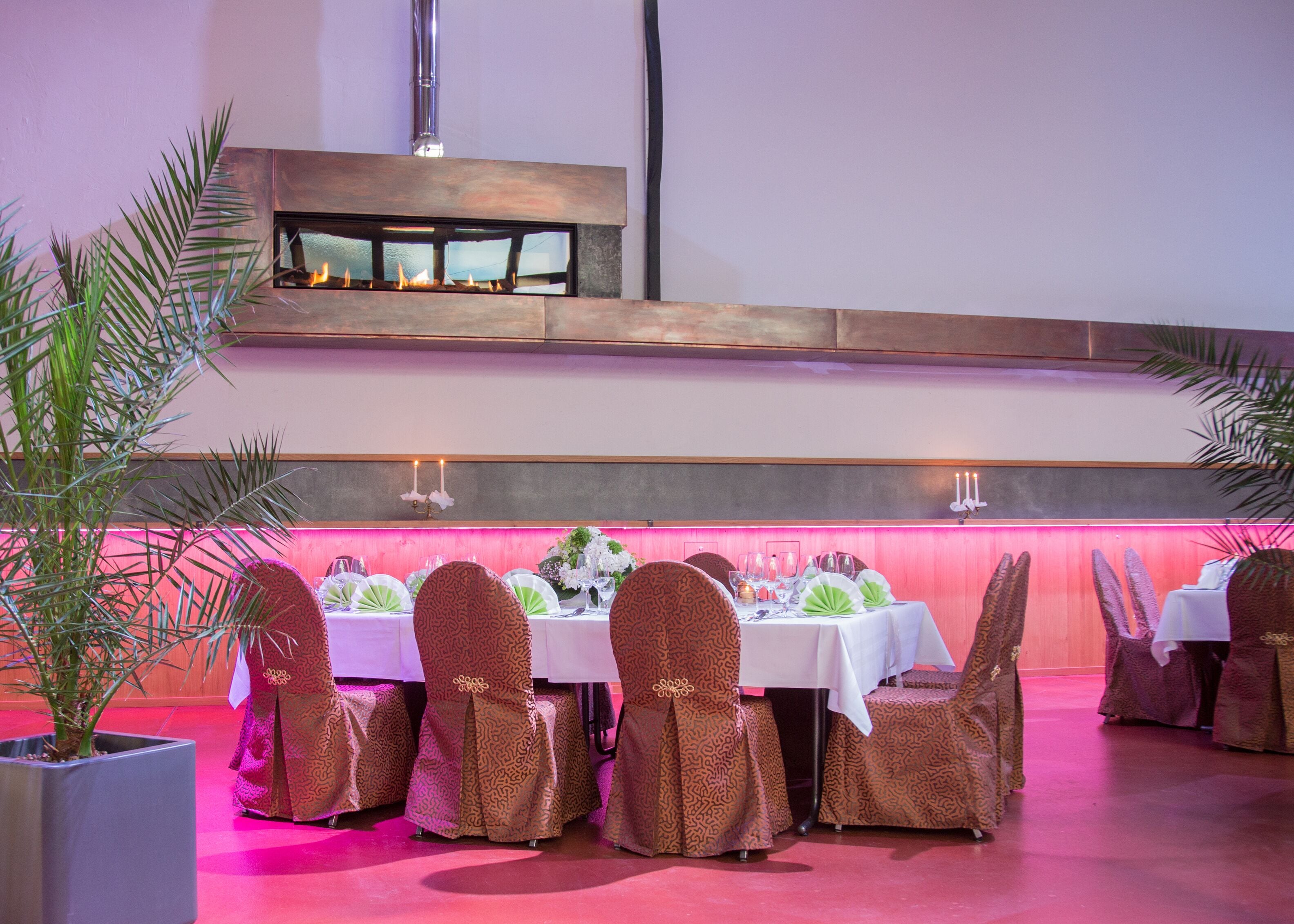 Een restaurant met een lange tafel gedekt voor een maaltijd, stoelen met beklede zittingen en een decoratieve plant op de voorgrond.
