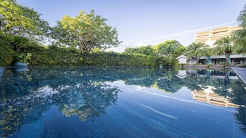 Outdoor pool, sun loungers