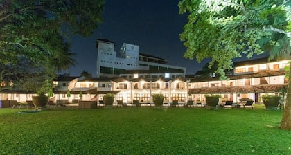 Palms, Mount Lavinia