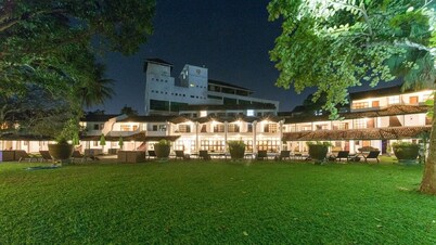 Palms, Mount Lavinia