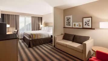 Hypo-allergenic bedding, desk, blackout curtains, iron/ironing board