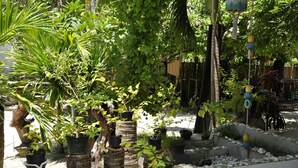A garden with various potted plants and trees, arranged in a structured layout with a stone pathway. - Little Mermaid Dive Resort (Daanbantayan)