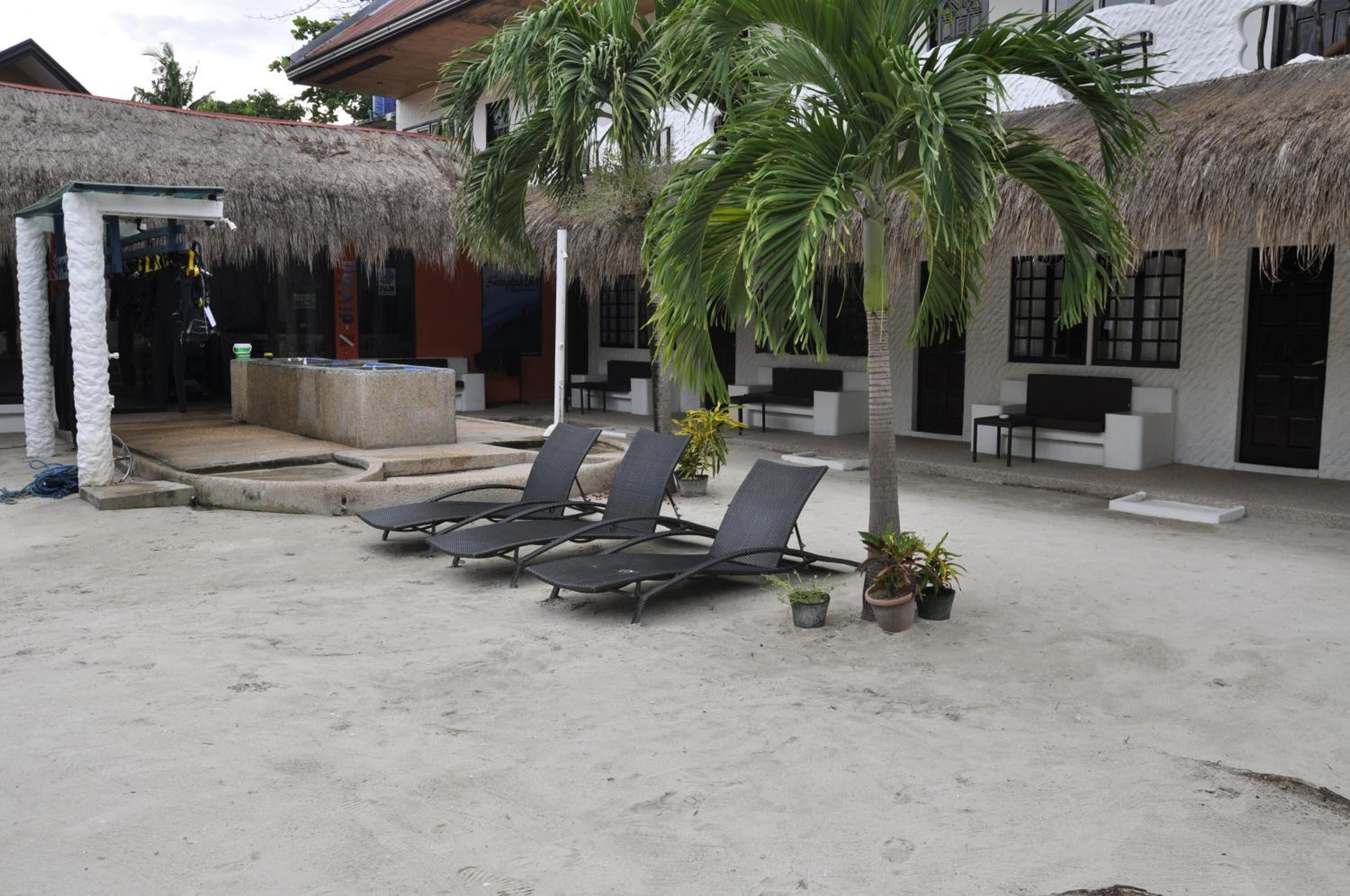 A beachside area with lounge chairs, a palm tree, and a thatched-roof building.