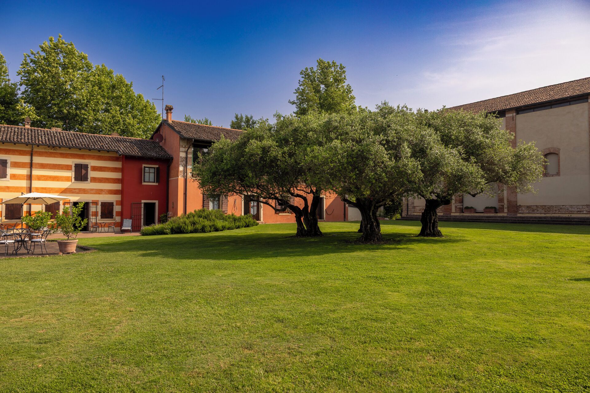 Un patio con césped, un edificio de techo a tejas y un árbol.