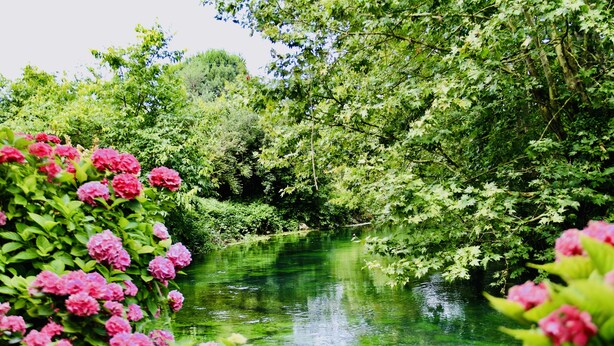 A serene river surrounded by lush greenery and pink flowers.