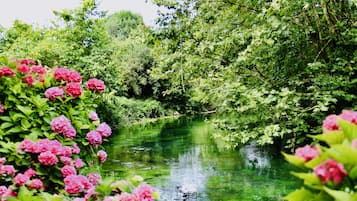 Blick auf den Garten