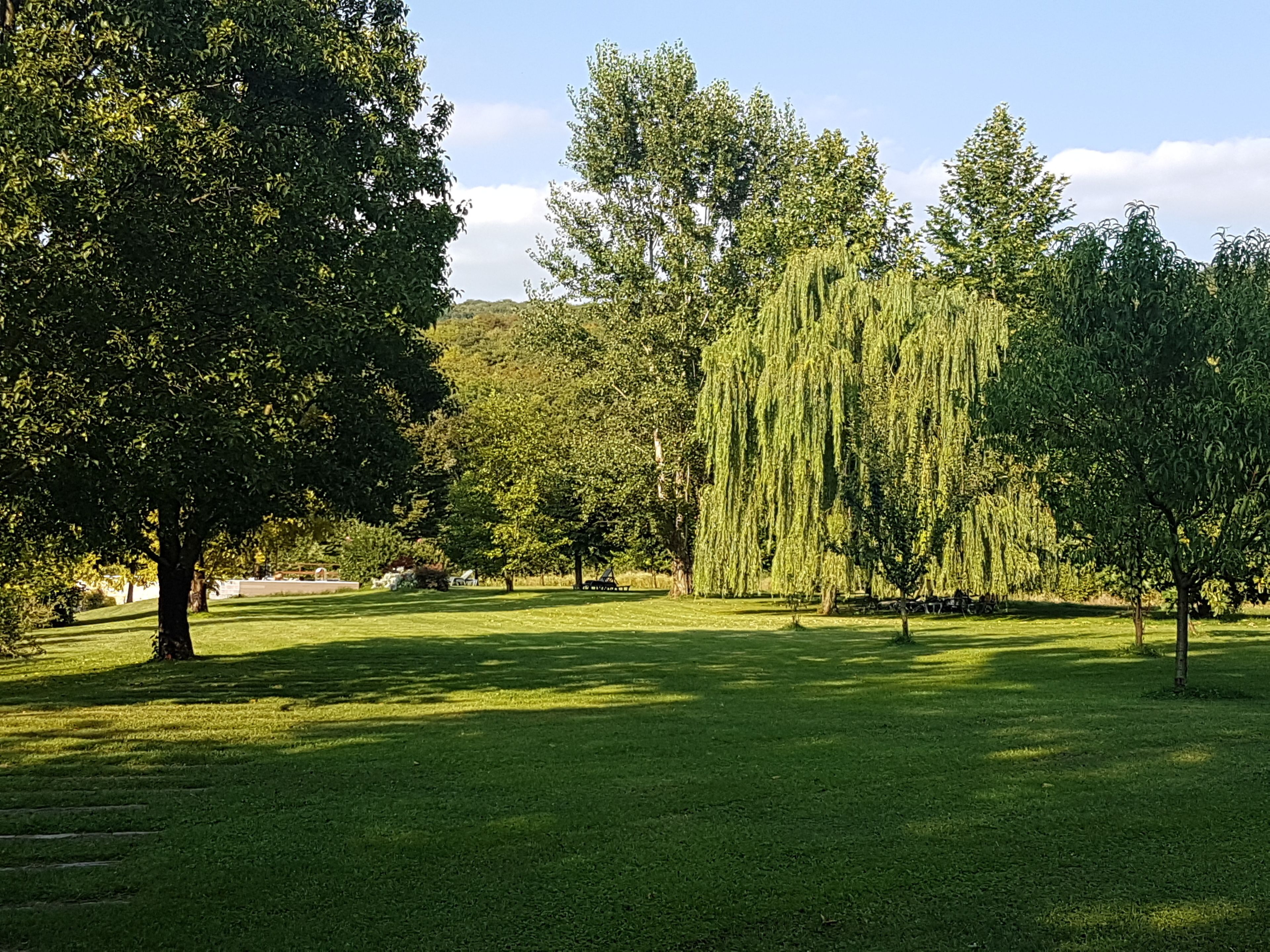 Foto - Musella Winery & Relais