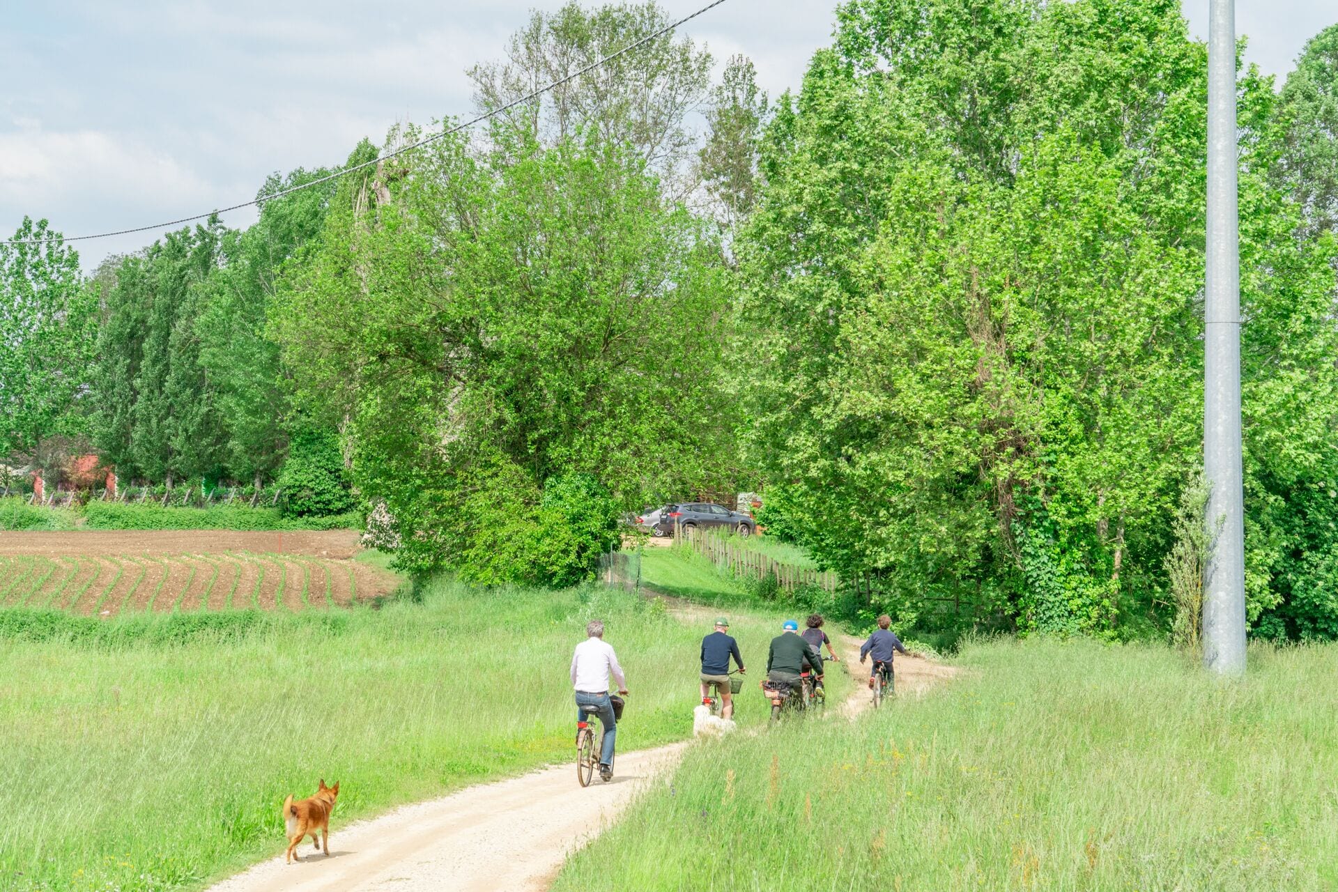 Foto - Musella Winery & Relais