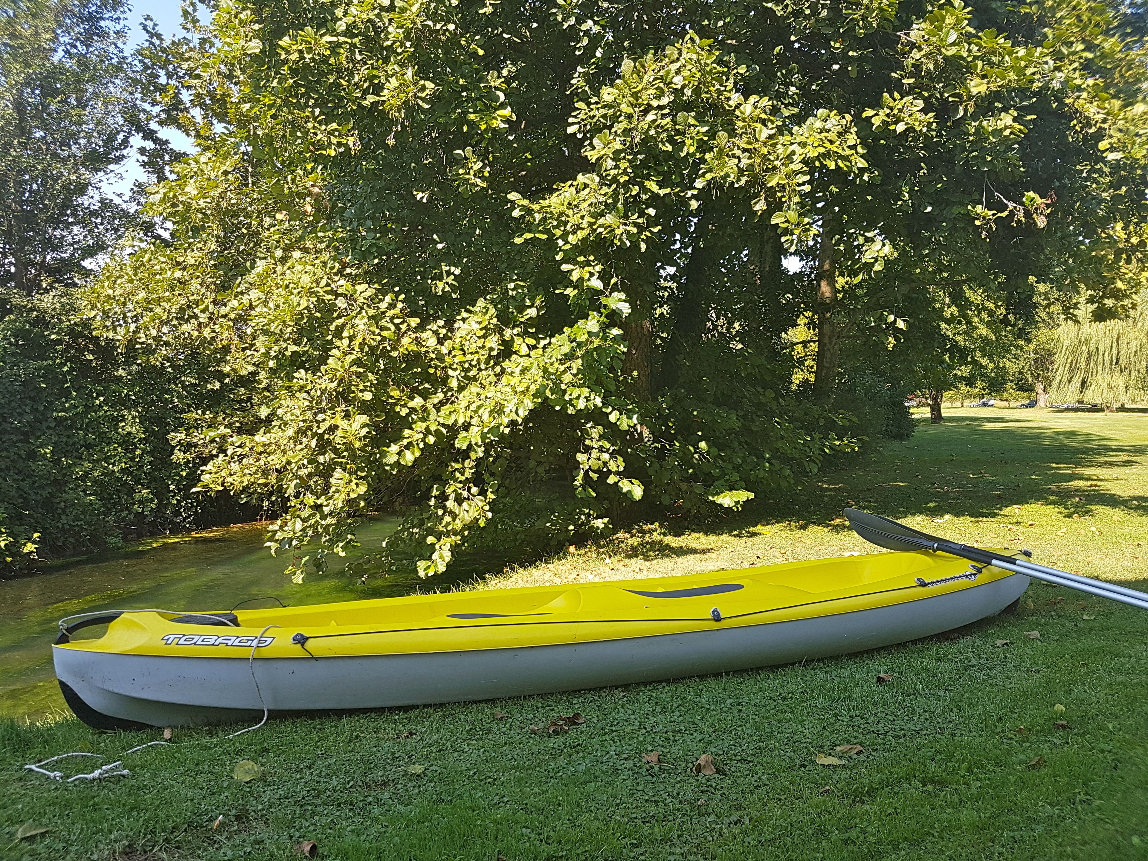 Una canoa amarilla con un remo en un área cubierta de césped, cerca de un cuerpo de agua rodeado de árboles.