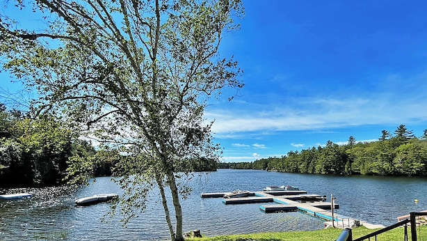 Vista al río con barcos amarrados, un área de césped y una barandilla.