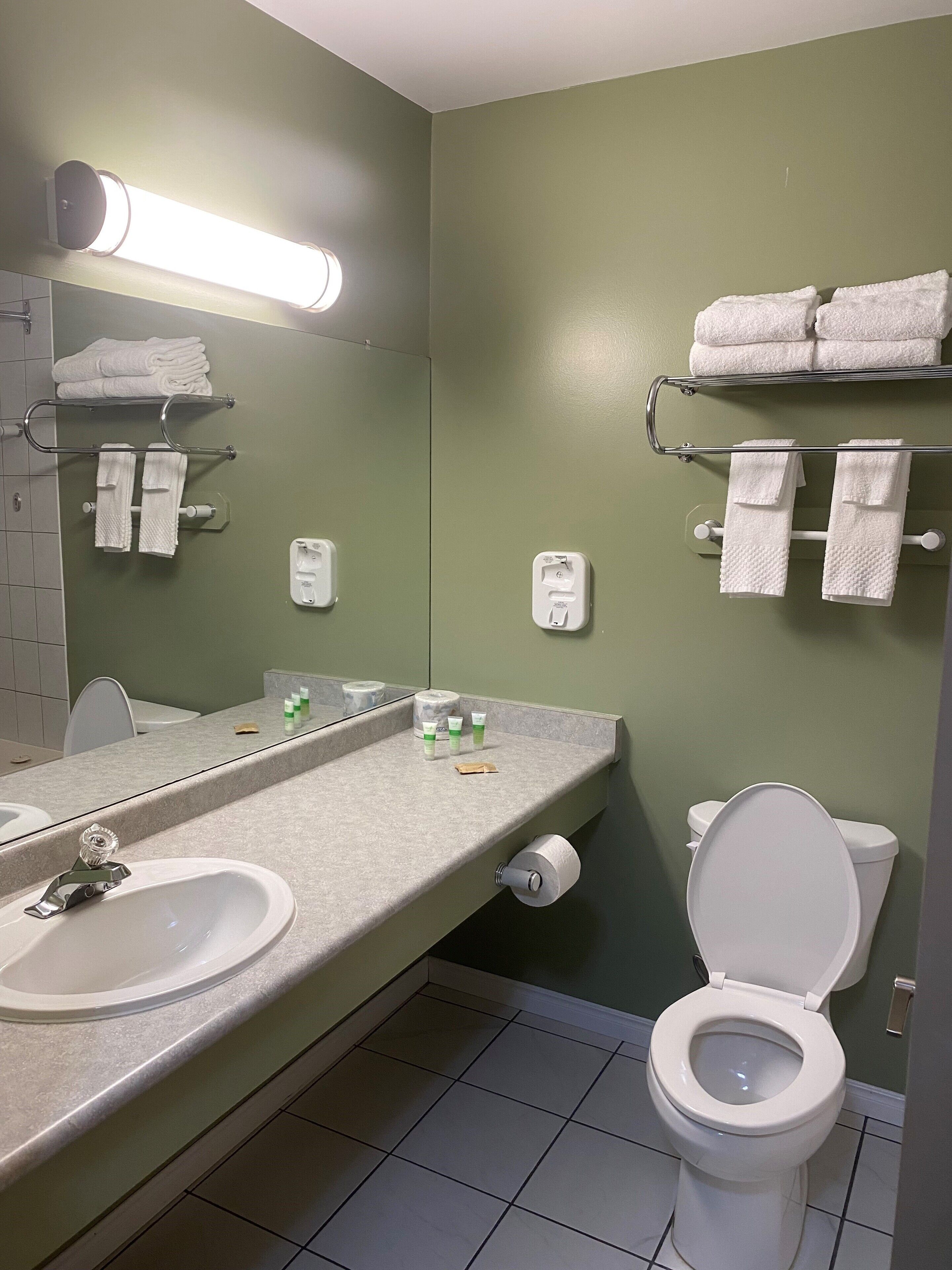 A bathroom with a sink, mirror, towel racks, and a toilet.