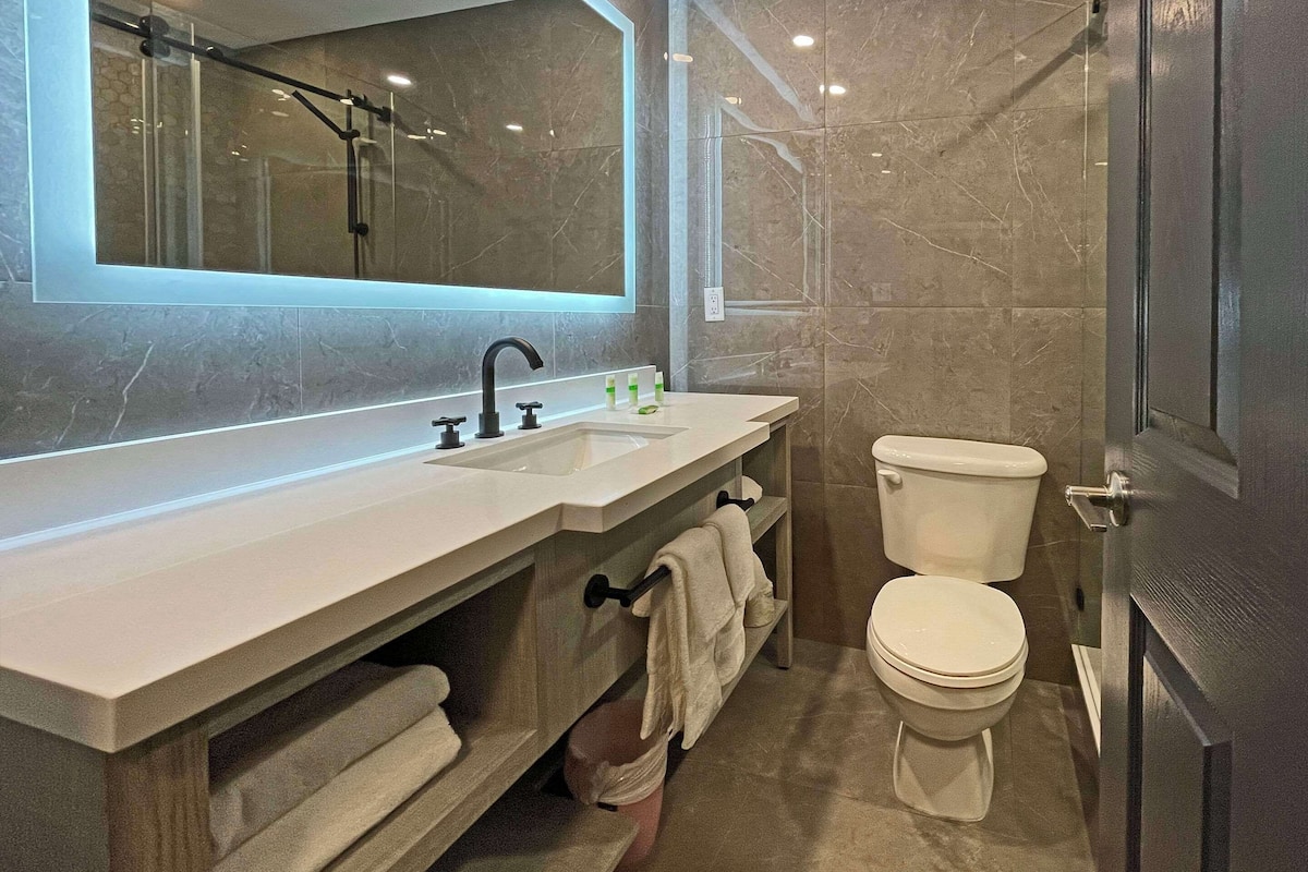 standard room, 1 king bed, non smoking | iron/ironing board, free wifi, bed sheets