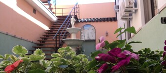 Patios del Mediterráneo