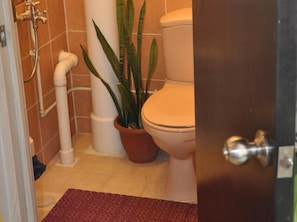 Combined shower/bathtub