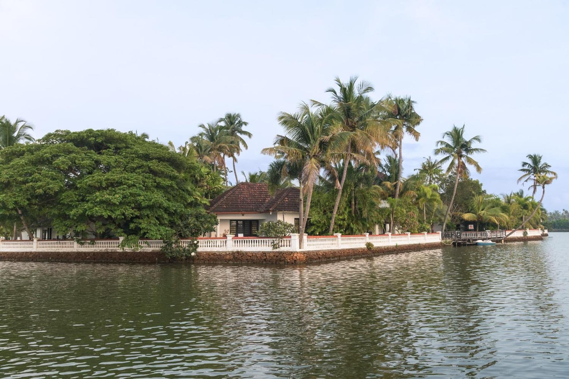 A house by a calm water body, surrounded by lush greenery and palm trees.