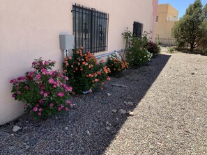 Property grounds - Luxury Inn (Albuquerque)