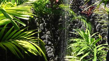 A tropical garden with a water feature, lush greenery, and a stone wall.