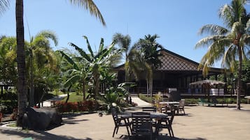 室外泳池;躺椅