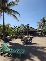 An outdoor seating area with tables and chairs, surrounded by palm trees and a building in the background.