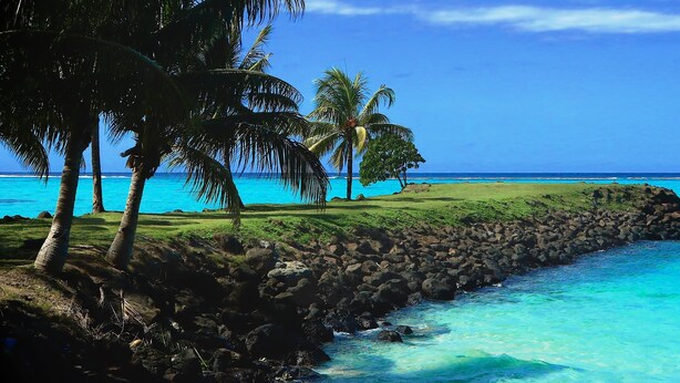 A coastal landscape with clear turquoise waters, a rocky shoreline, and palm trees. - Amoa Resort Savaii (Tuasivi)