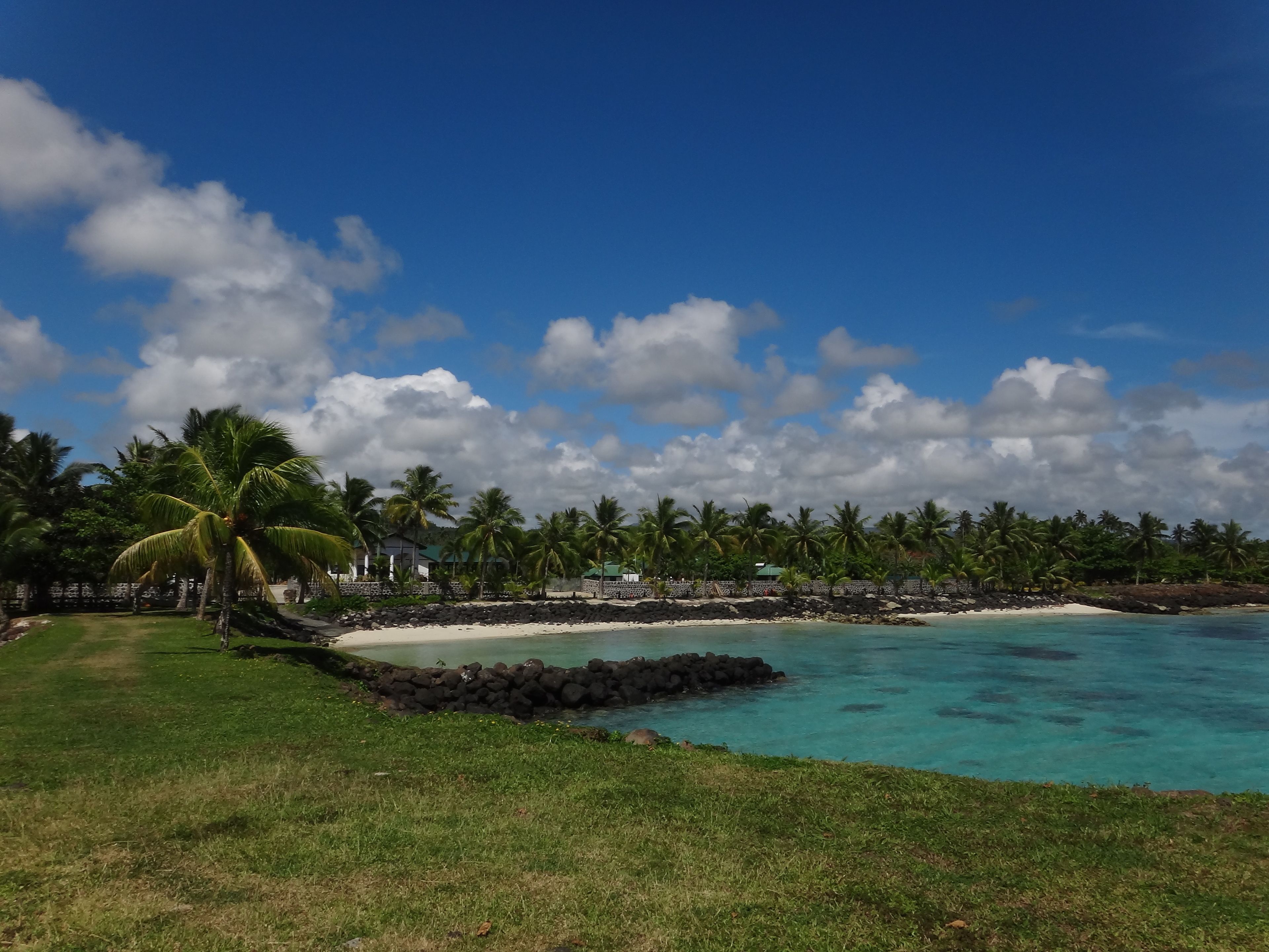Una playa tropical con aguas turquesas cristalinas, palmeras y un litoral rocoso.