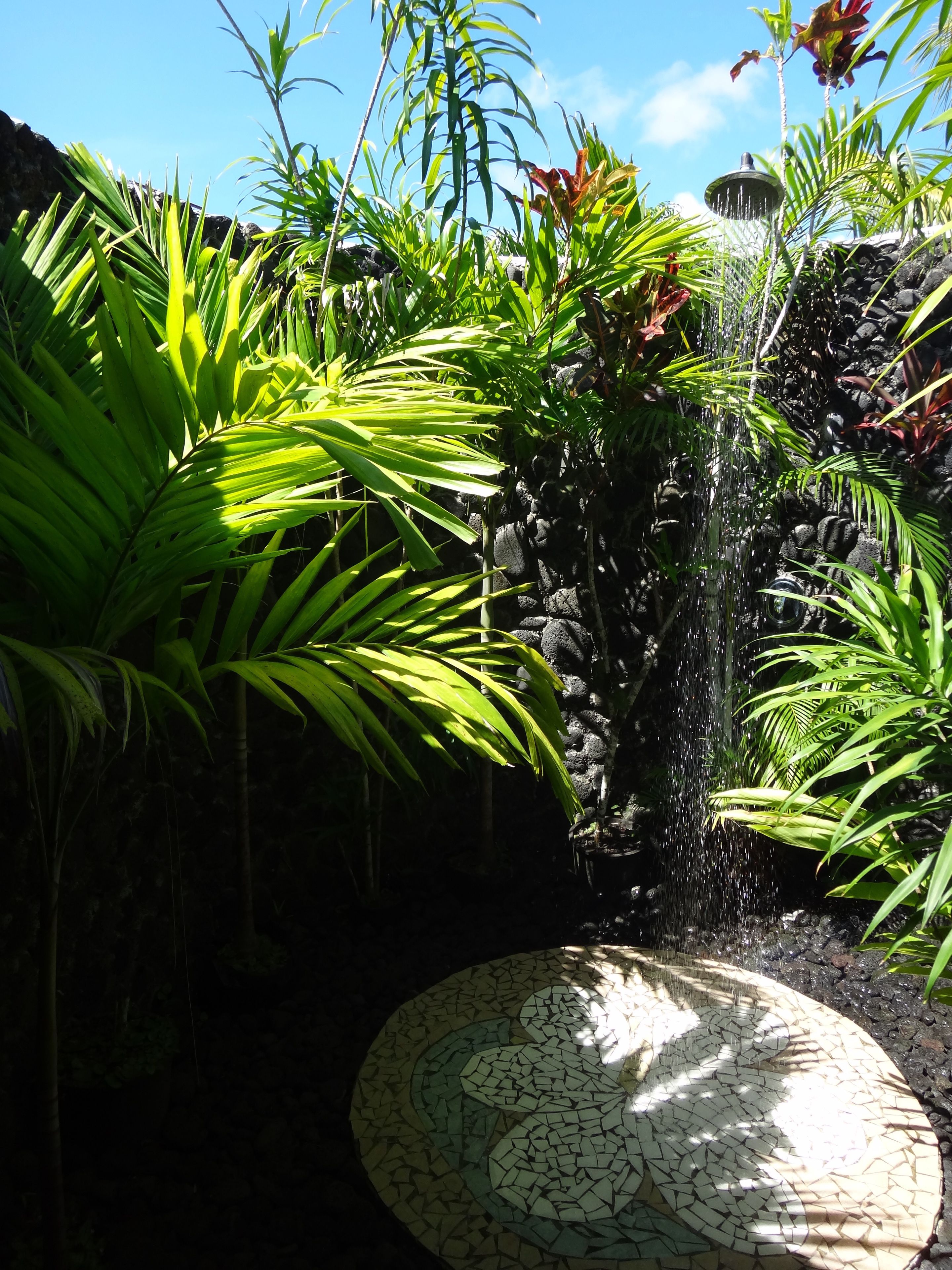 Un jardin tropical avec une cascade, une végétation luxuriante et un espace circulaire revêtu de mosaïques.