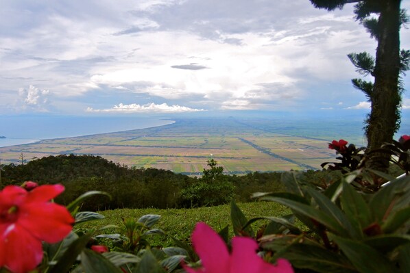 Vista desde la propiedad