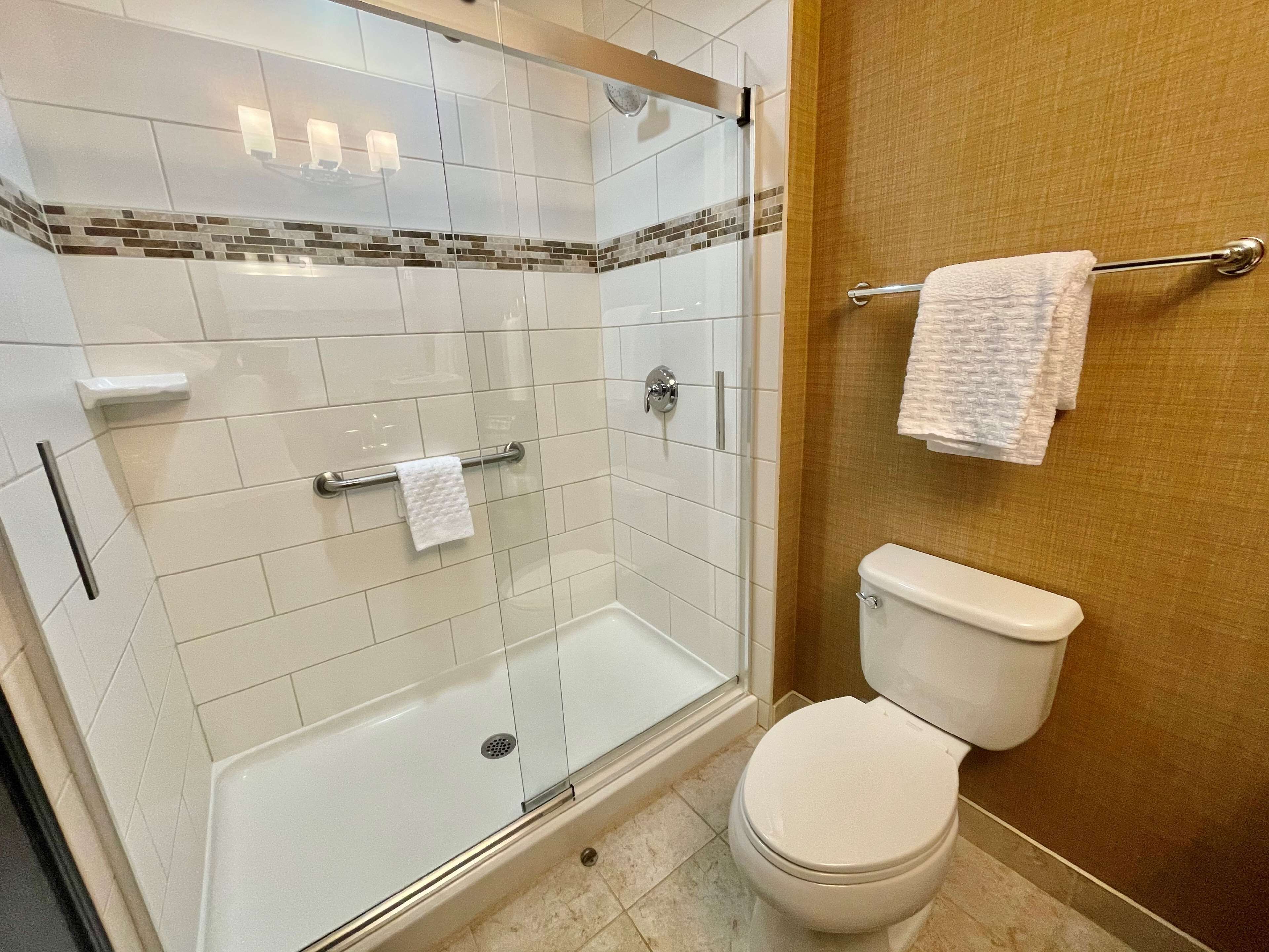 combined shower/bathtub, free toiletries, hair dryer, towels