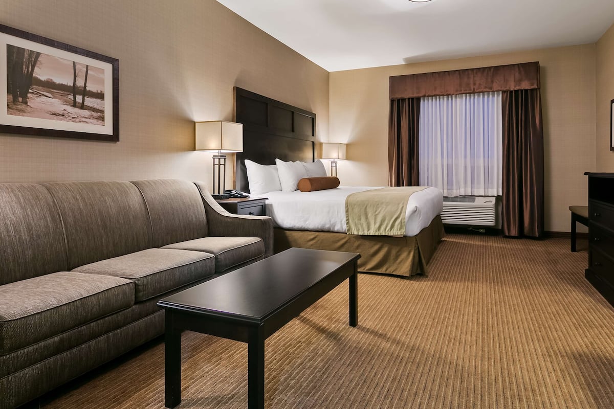 A hotel room with a bed, a sofa, a TV, a desk, and a carpeted floor.