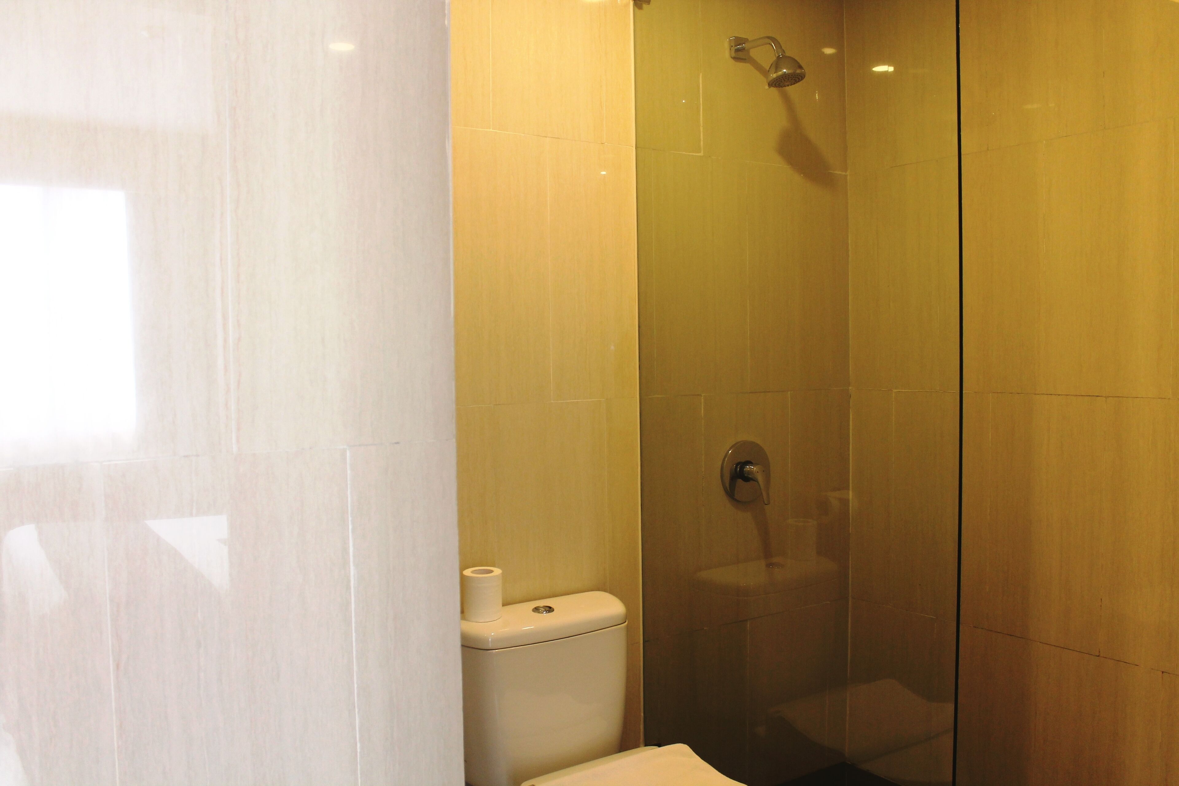 Ein Badezimmer mit einer Duschkabine, einer Toilette und einer Toilettenpapierrolle an der Wand.